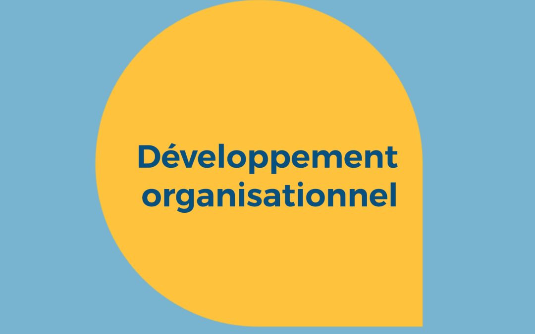 Revue et mise à jour du plan de développement organisationnel de WILPF RDC – 2022