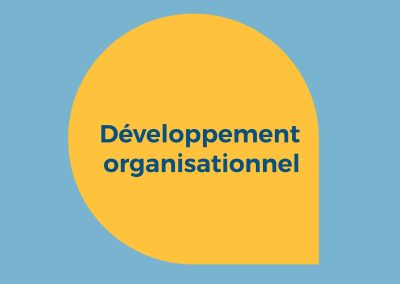 Revue et mise à jour du plan de développement organisationnel de WILPF RDC – 2022